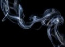 Kwikfynd Drain Smoke Testing
gisborne